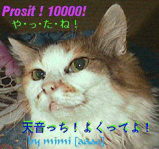 �P�O�O�O�O�@�~�~�@�����v�숻�l