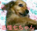 uҎ@OOR@~j`A_bNXtg