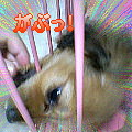 uҎ@OOU@~j`A_bNXtg