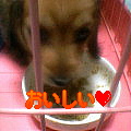 uҎ@OOW@~j`A_bNXtg