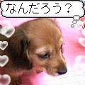 uҎ@OPP@~j`A_bNXtg
