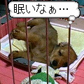 uҎ@OPX@~j`A_bNXtg