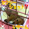 uҎ@OQO@~j`A_bNXtg