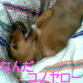 uҎ@OQP@~j`A_bNXtg