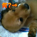 uҎ@OQQ@~j`A_bNXtg
