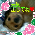 uҎ@OQR@~j`A_bNXtg