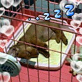 uҎ@OQS@~j`A_bNXtg