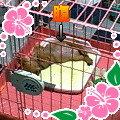 uҎ@OQU@~j`A_bNXtg