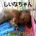 uҎ@OQV@~j`A_bNXtg