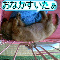 uҎ@OQX@~j`A_bNXtg