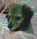 uҎ@ORT@~j`A_bNXtg