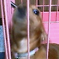 uҎ@OSQ@~j`A_bNXtg