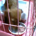 uҎ@OSR@~j`A_bNXtg