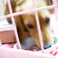 uҎ@OSS@~j`A_bNXtg