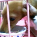 uҎ@OST@~j`A_bNXtg
