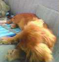 uҎ@OTQ@~j`A_bNXtg