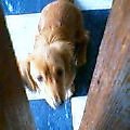 uҎ@OTS@~j`A_bNXtg