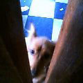 uҎ@OTU@~j`A_bNXtg