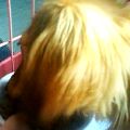 uҎ@OUO@~j`A_bNXtg