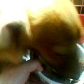 uҎ@OUP@~j`A_bNXtg