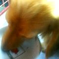 uҎ@OUQ@~j`A_bNXtg