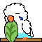 _CA[@