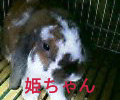 P@OOR@z[hbvC[rbg
