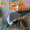 P@OOV@z[hbvC[rbg