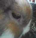 P@OPT@z[hbvC[rbg