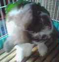 P@OPV@z[hbvC[rbg