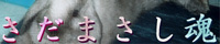 [܂]@܂