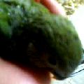 ^@@OOQ@CR