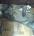 SƕP@OOQ@z[hbvC[rbg