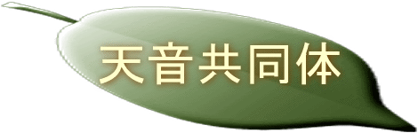 �V��������